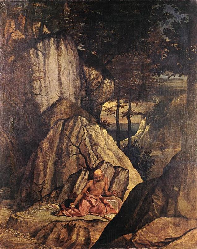 LOTTO, Lorenzo Penitent St Jerome sg Spain oil painting art